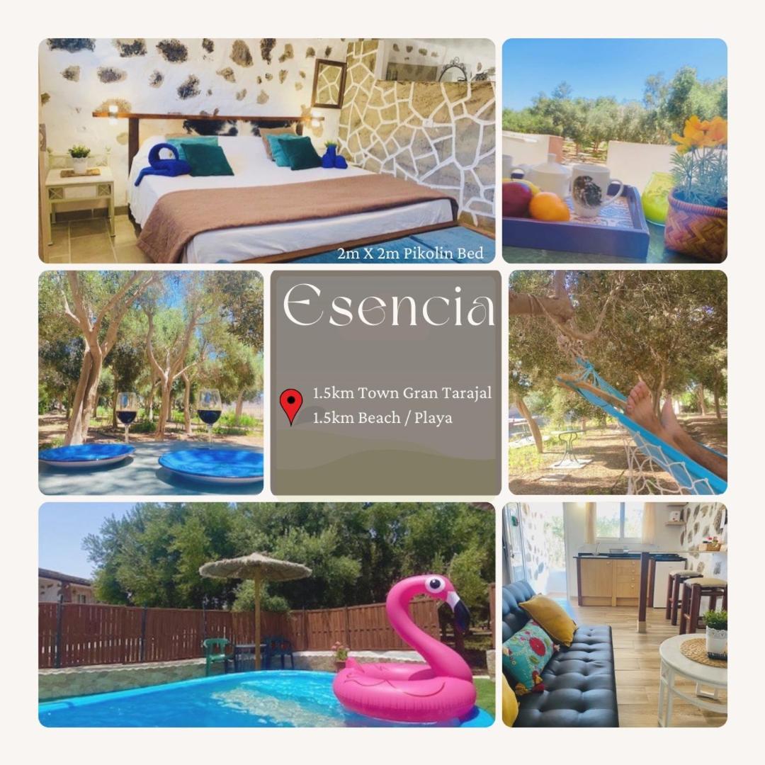 Bungalow Alma #Only Adults El Charco  Exterior photo